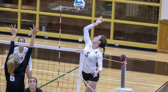 VB - Academic Honor Roll