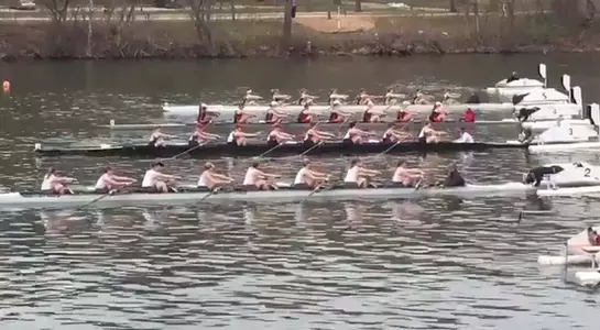 Rowing Murphy Cup