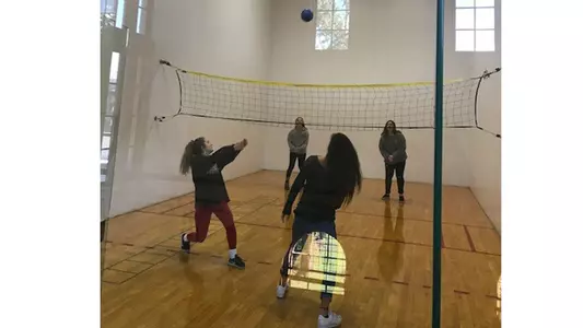 Wallyball