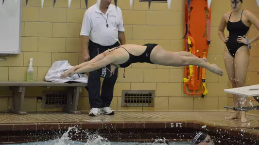 Lehigh Dive