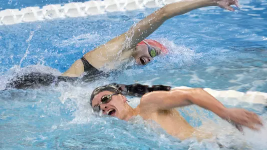 Swim championships preivew