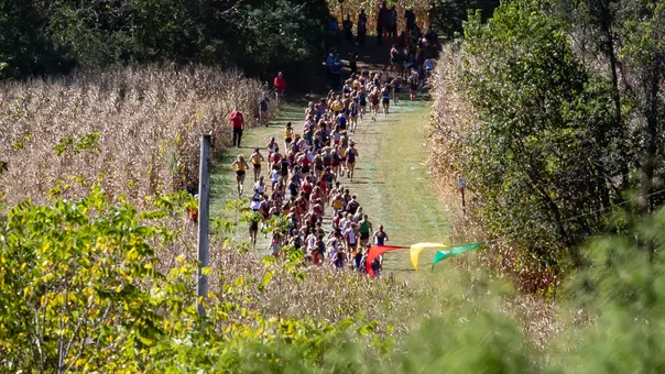 XC