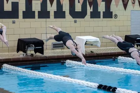 WSWIM