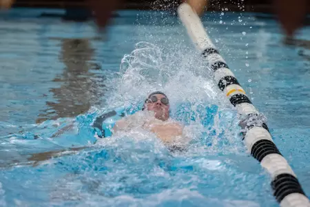 MSWIM