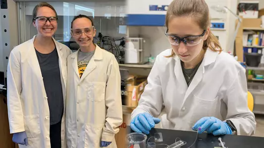 Boyer Hammerstone Crawford