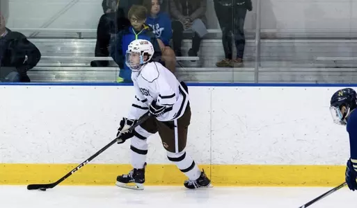 Ice_Hockey_3.jpg