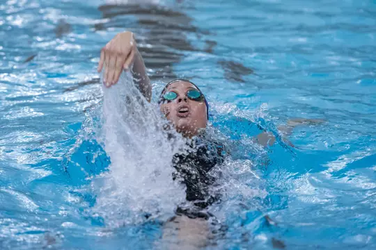 WSWIM