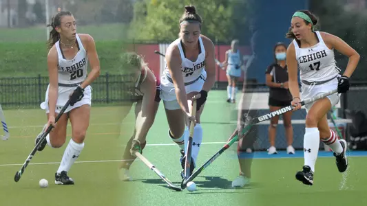 Bonthuis Havas Pecora