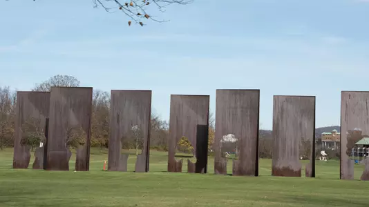 Metal Trees on course