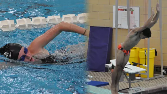 Swim Dive Brown White