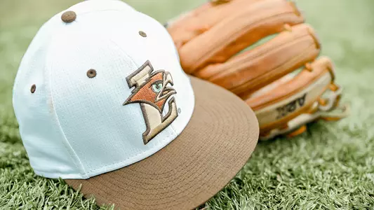 Lehigh Baseball Cap and Glove Stock