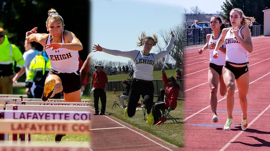 Carpino, Talamini-Keleme, McMillan