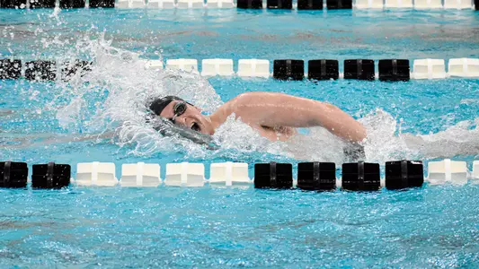 Men's Swimming and Diving