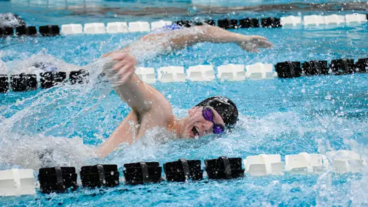 Men's swimming and diving