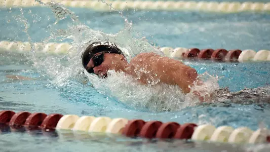 Lehigh men's swimming and diving