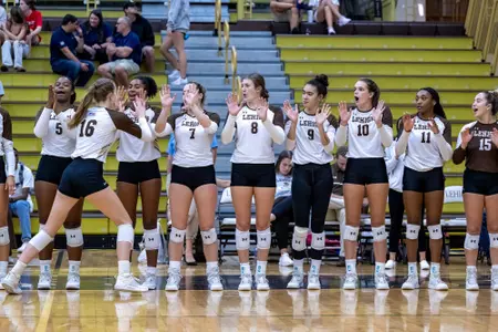 Volleyball Bench