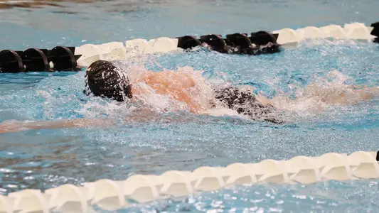 MSWIM