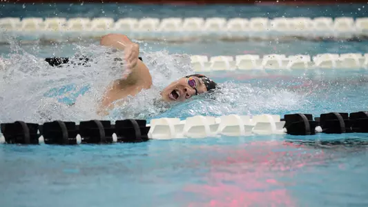 mswim