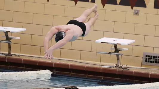 mswim