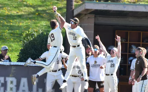 Baseball HR Celebration