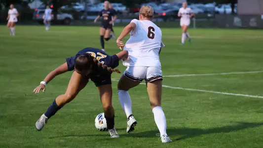 Taylor Latini
