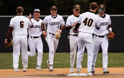 Baseball Celebration