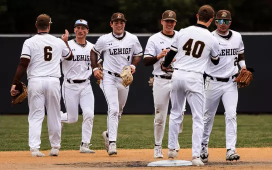 Baseball Celebration