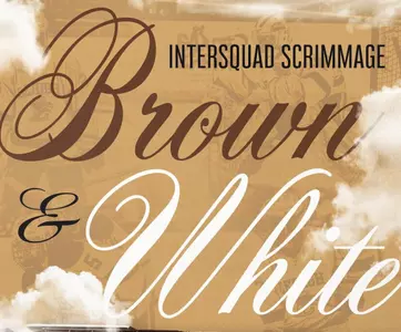 Hockey Brown and White Scrimmage