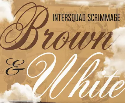Hockey Brown and White Scrimmage