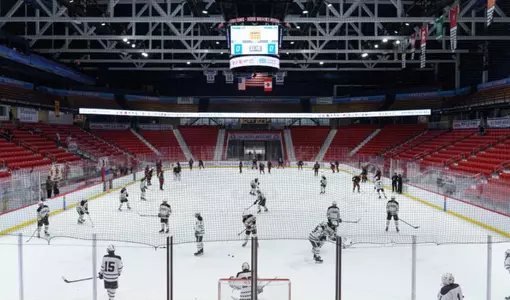 1980 arena