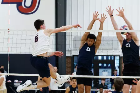 Anthony Bernardo Liberty spike