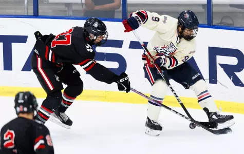 Roman Lamoureux Liberty Northeastern