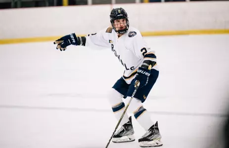 Luke Anderson Liberty DI men's hockey transfer
