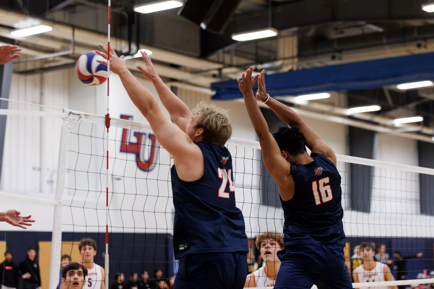 The Liberty Men’s Indoor Volleyball team faces the University of Virginia at the Preseason ECVF Tournament in the Lahaye Multipurpose Center on October 18th, 2025. (Photo by Grace Greer)