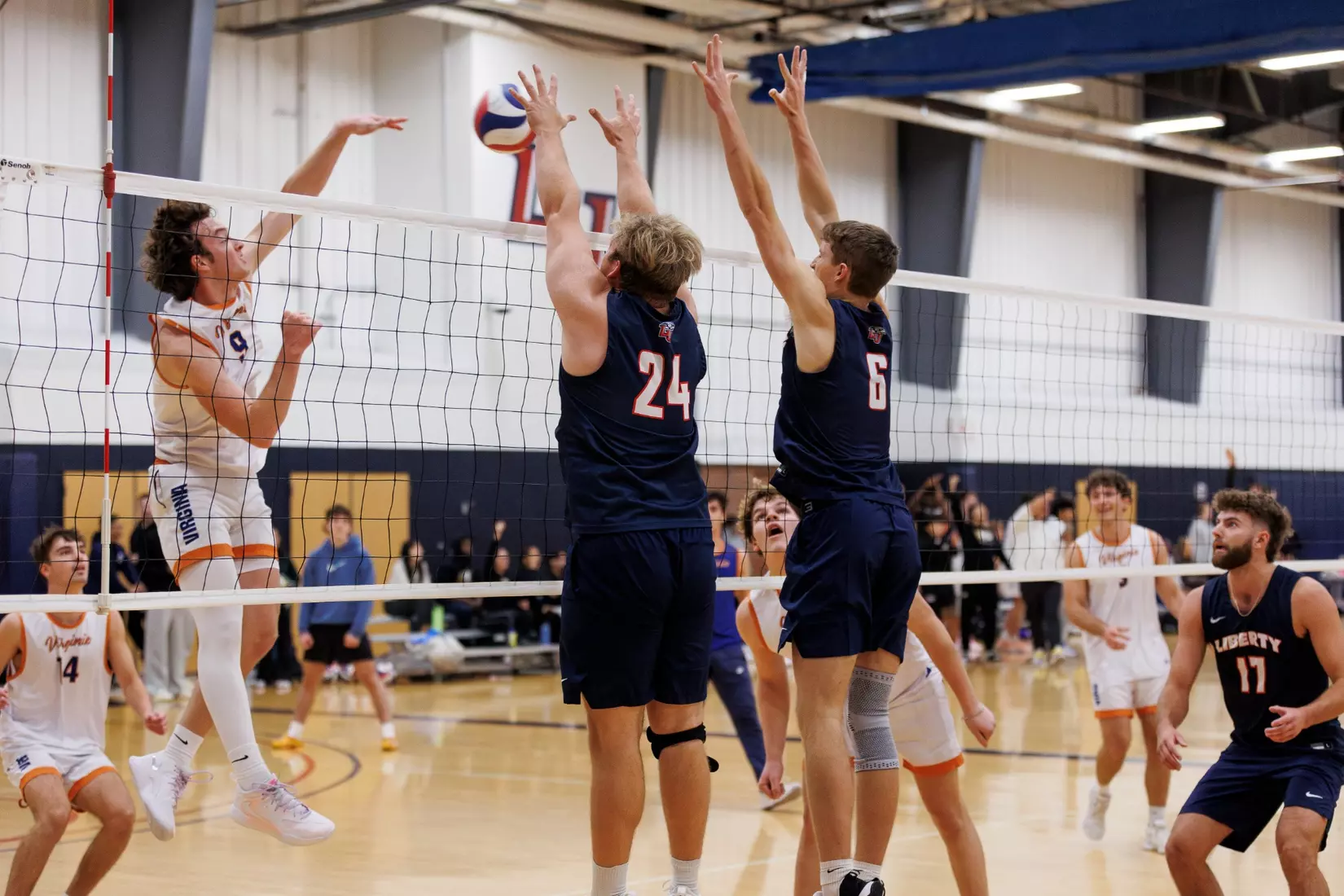 The Liberty Men’s Indoor Volleyball team faces the University of Virginia at the Preseason ECVF Tournament in the Lahaye Multipurpose Center on October 18th, 2025. (Photo by Grace Greer)