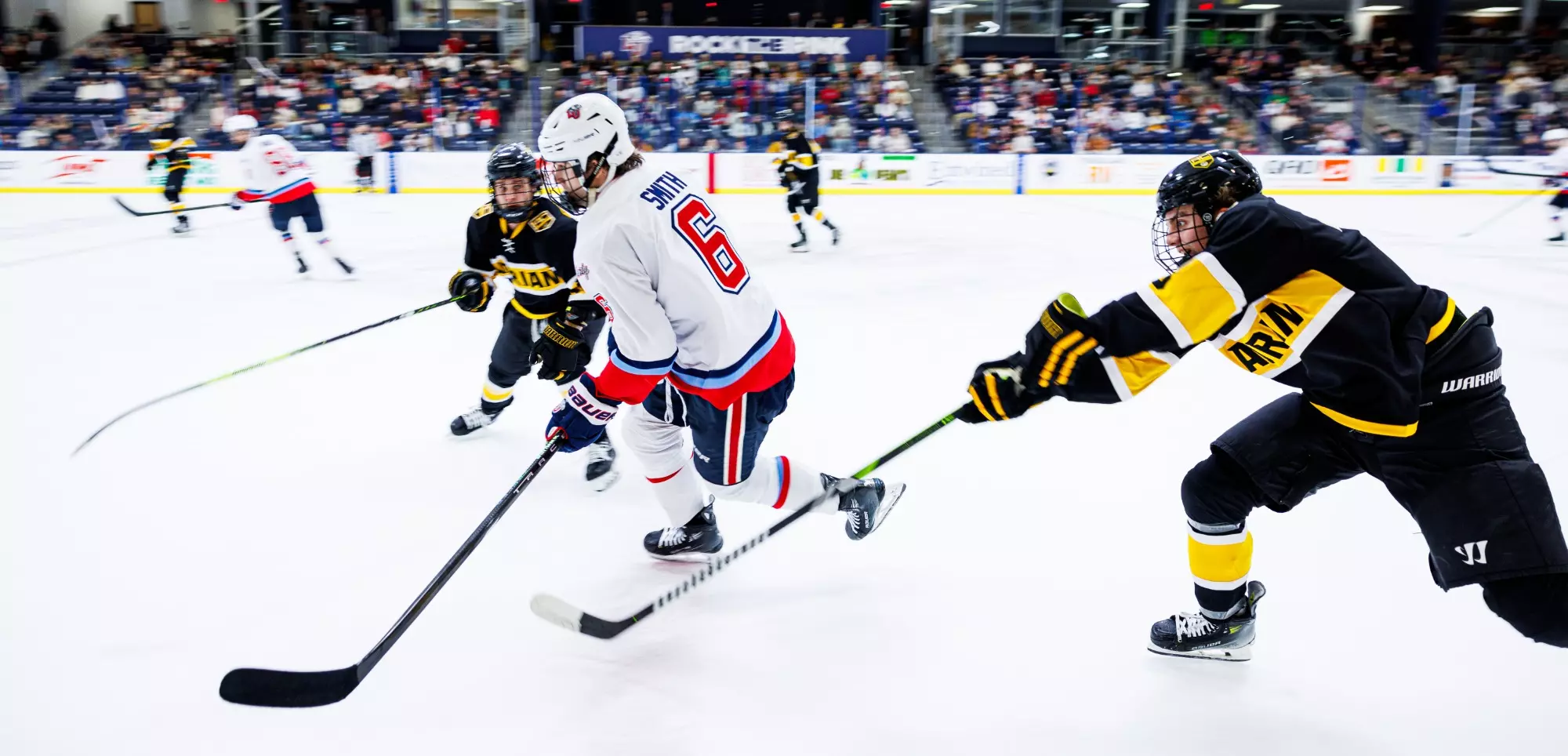 Liberty Men’s D1 Hockey hosts Adrian College for “Hall of Fame” Game in the Lahaye Hockey Center on January 31, 2025. (Photo by: Matt Reynolds)