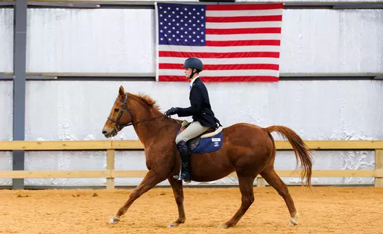 Tristan Battin Equestrian Region 4 qualifier