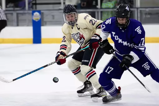 Josh Harrell Liberty St. Thomas