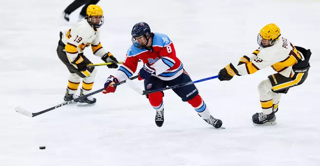Freshman defenseman Kyle Bowman Liberty Division III men's hockey