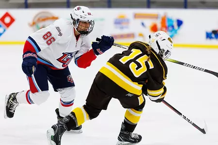 Patricia Misiak Liberty DII women's hockey secondary