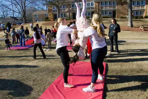 Liberty gymnasts flip participant