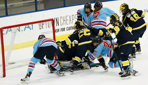 Liberty Michigan Dearborn pileup around goal