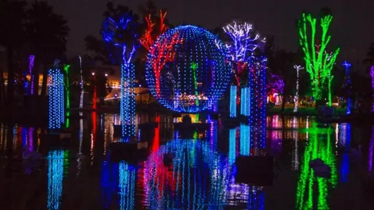 Zoo lights
