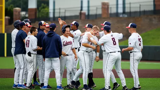 Baseball Celebrating