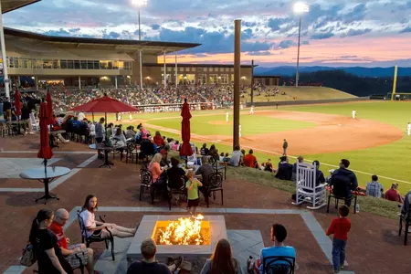The Liberty University Baseball team plays VMI on April 4, 2014. (Photo by Joel Coleman)