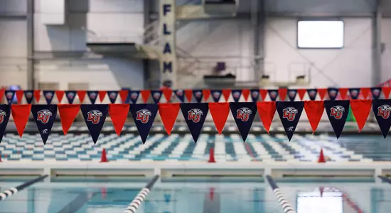 Swimming & Diving Natatorium Flags 2023