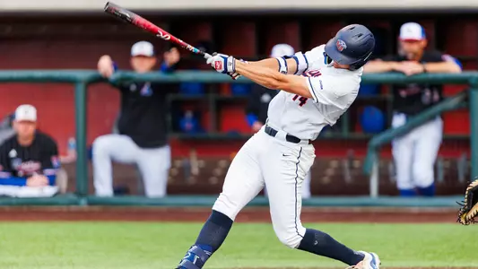 Hudson swinging bat