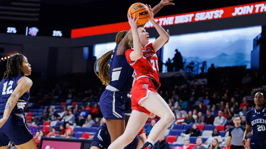 Steenbergen Layup