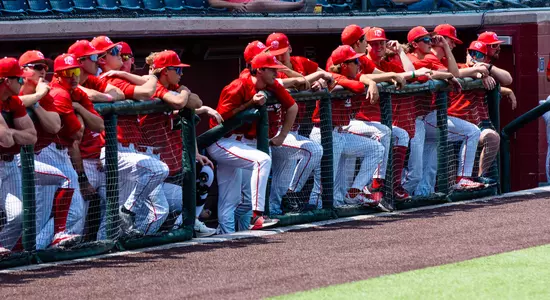Baseball - Team at Dugout Rail