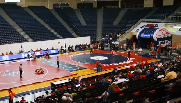 Liberty to Reclassify Wrestling Program